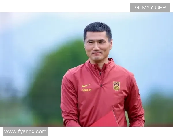 邵佳一：从中超明星到德国职业球员的成长之路与足球人生